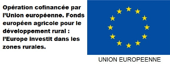 Logo Union Européenne avec texte
